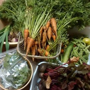 Meet your Posher, Adrienne